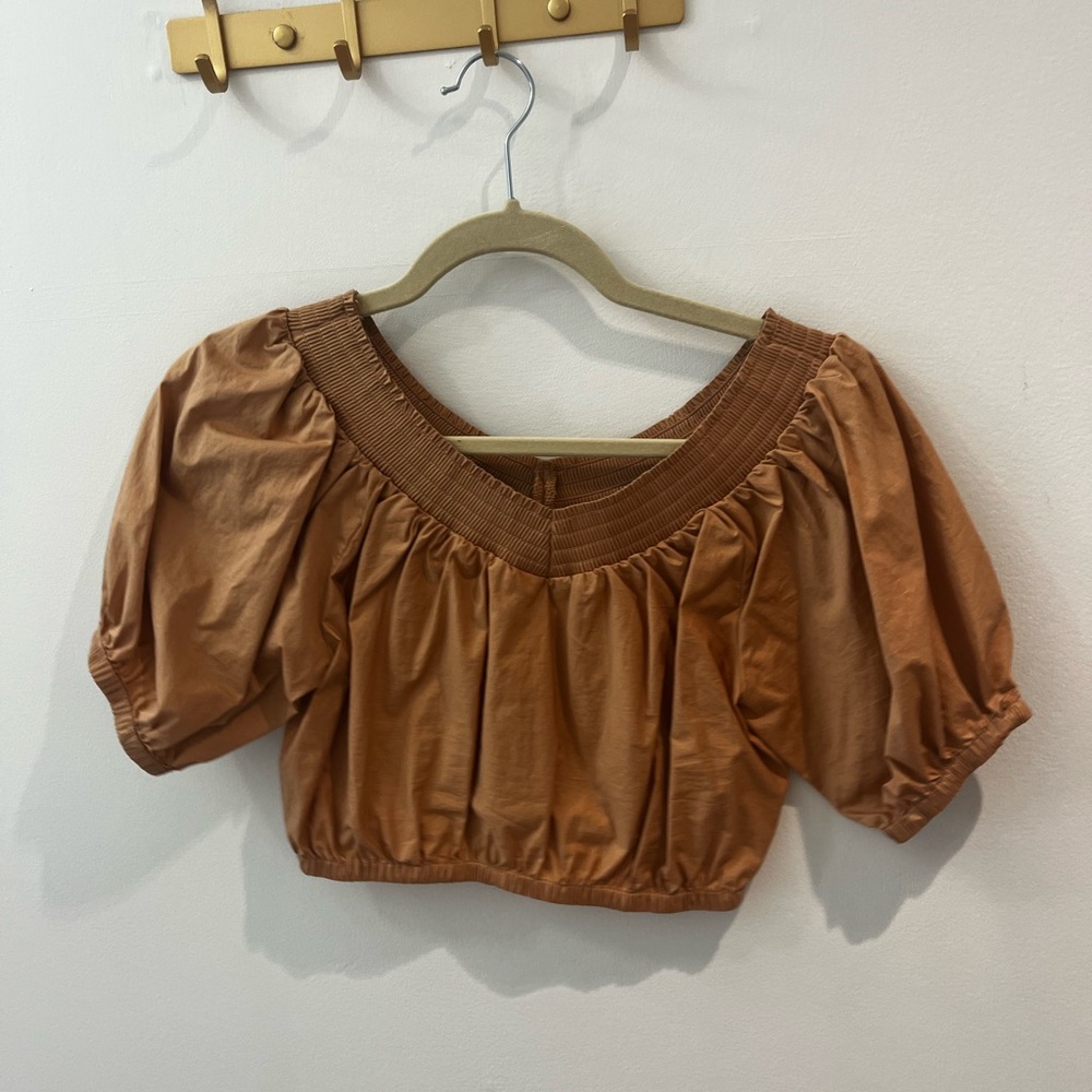 ALC Brown Puff Sleeve Smocked Crop Blouse